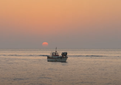 Confraria de Pescadors de Roses - El salitre a la vena 
